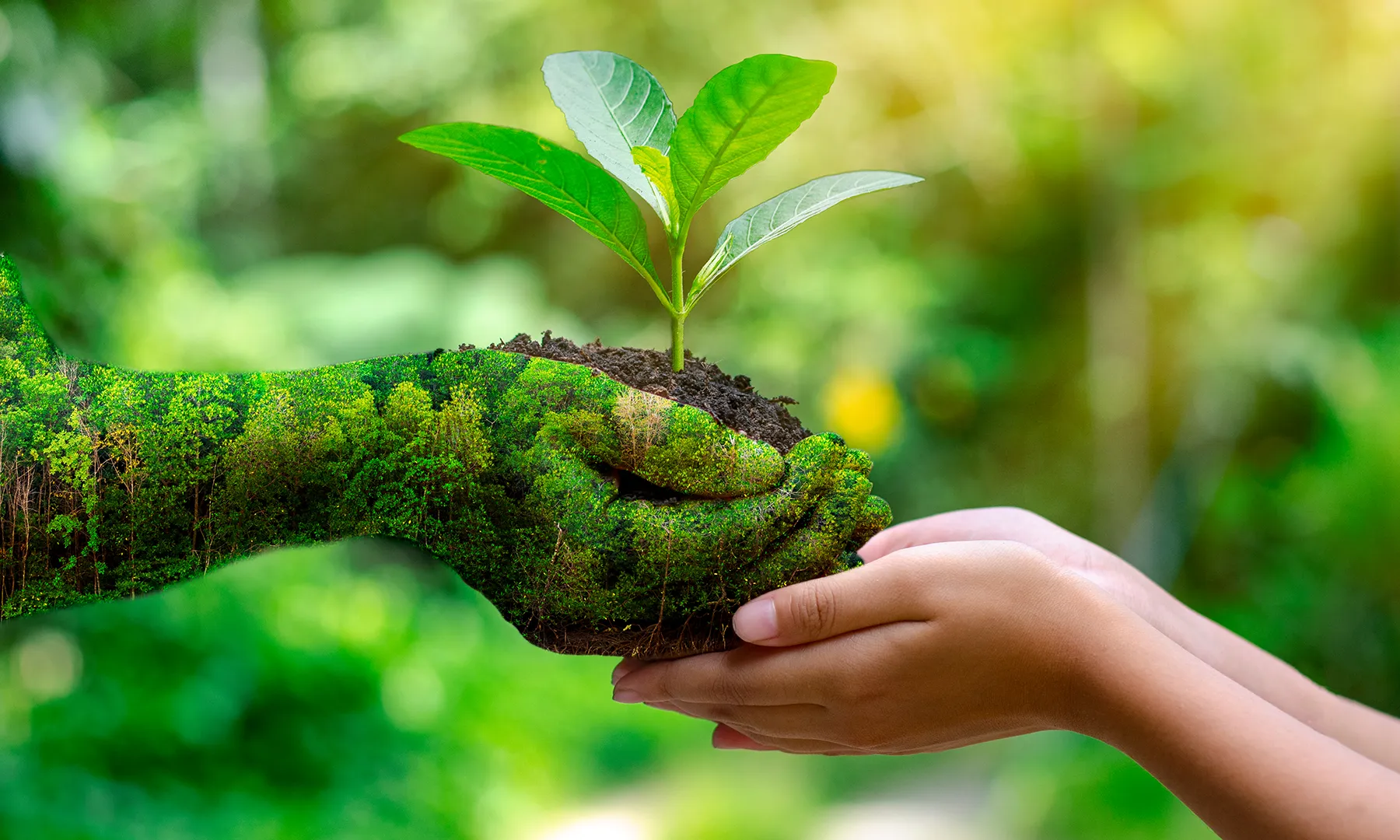 UN-Policies-about-Environment-and-their-Impact UN-Policies-about-Environment-and-their-Impact