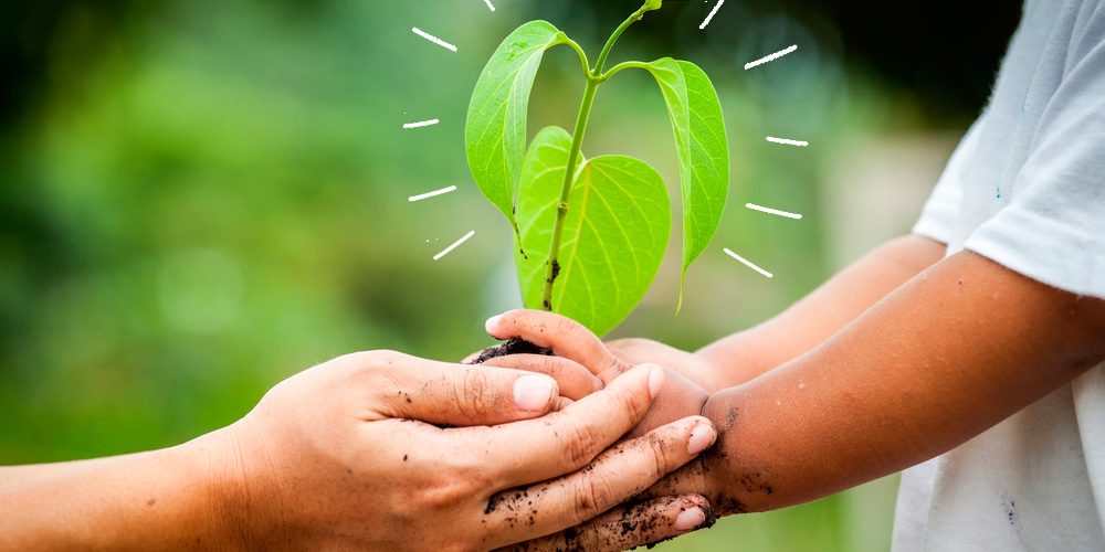 what_does_sustainability_mean what_does_sustainability_mean